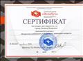 Сертификат участника семинара "Возрастные особенности детей раннего и дошкольного возраста"
8.06.2017.